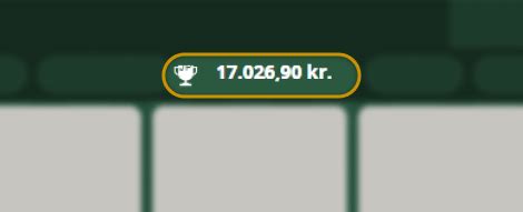 bingostuen|Sådan spiller du Bingo .